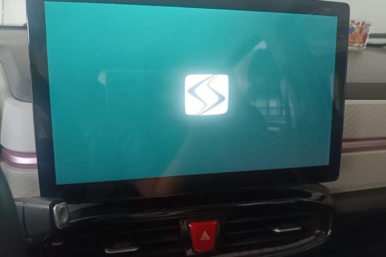 Used SOL E10X 2022 Flower Fairy Style Baby's Breath Audio And AC Panel