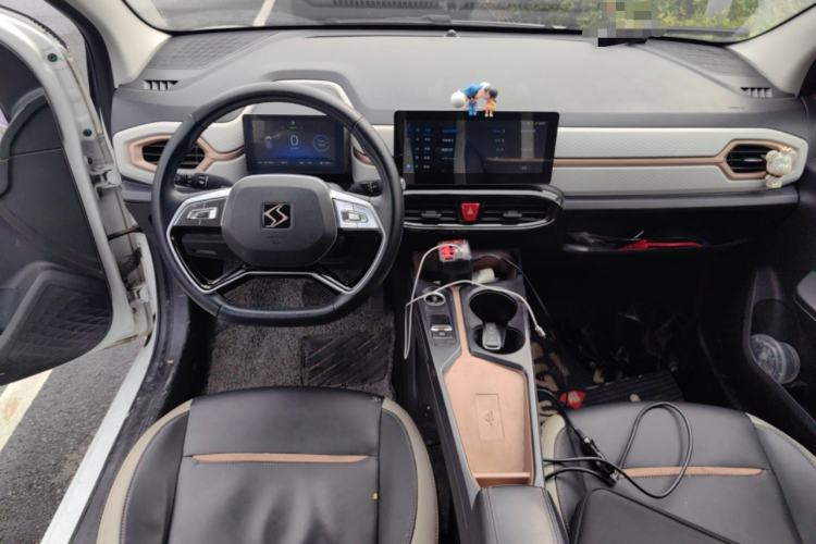 Used SOL E10X 2022 Flower Fairy Style Baby's Breath Center Console