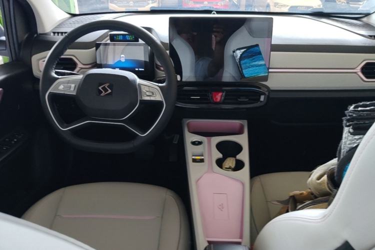 Used SOL E10X 2022 Flower Fairy Style Baby's Breath Center Console