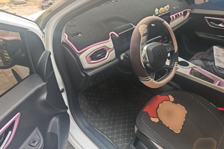Used SOL E10X 2022 Flower Fairy Design Four-Leaf Clover Driver Seat