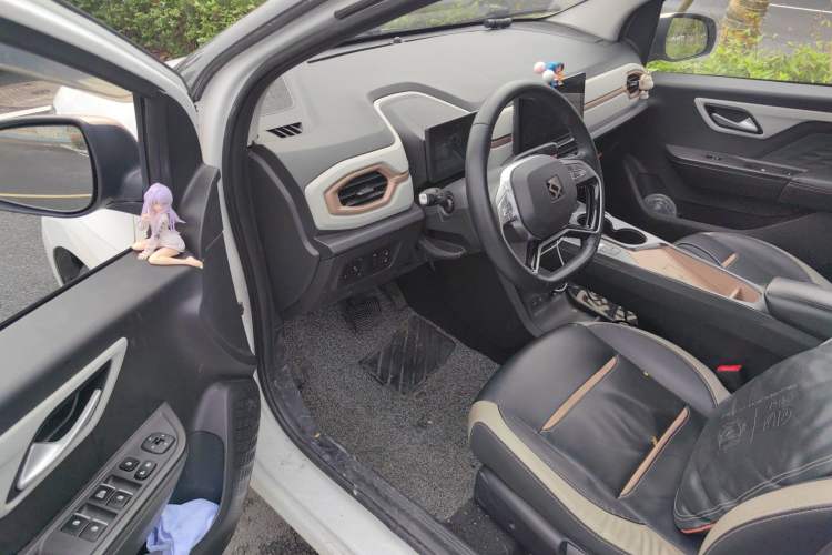 Used SOL E10X 2022 Flower Fairy Style Baby's Breath Driver Seat