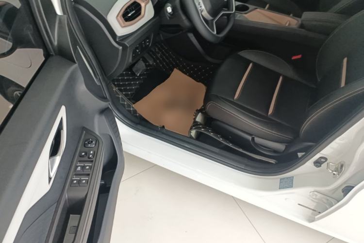 Used SOL E10X 2022 Flower Fairy Style Baby's Breath Driver Seat