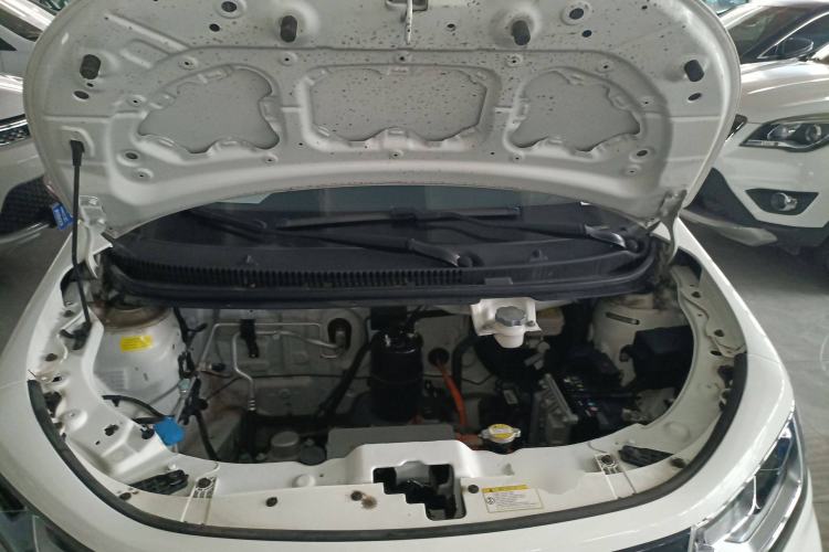 Used SOL E10X 2022 Flower Fairy Style Baby's Breath Engine Bay