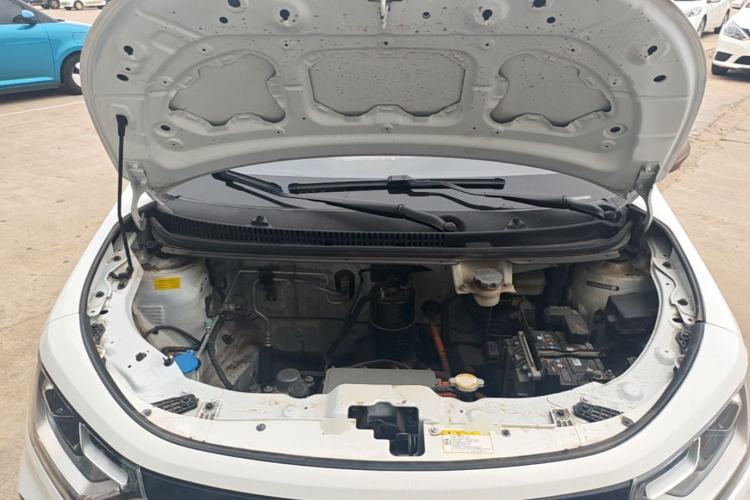 Used SOL E10X 2022 Flower Fairy Style Baby's Breath Engine Bay