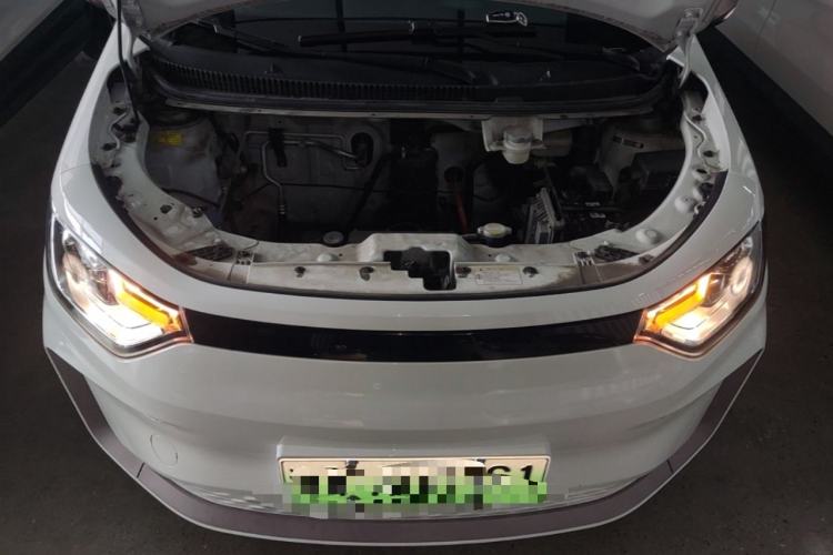 Used SOL E10X 2022 Flower Fairy Style Baby's Breath Engine Bay