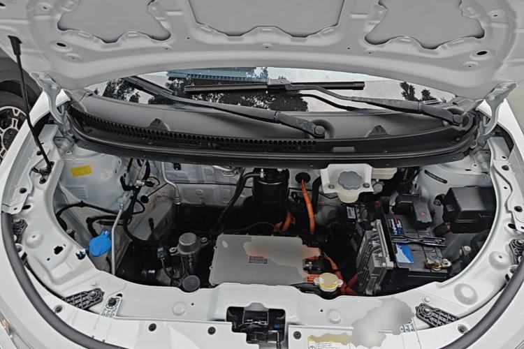 Used SOL E10X 2022 Flower Fairy Style Baby's Breath Engine Bay