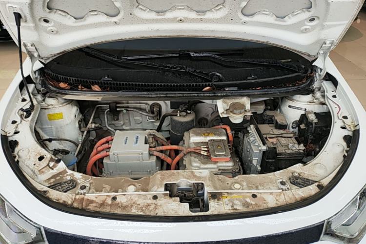 Used SOL E10X 2022 Flower Fairy Design Dandelion Engine Bay
