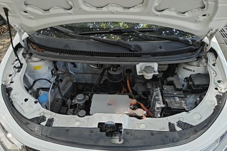 Used SOL E10X 2022 Flower Fairy Style Baby's Breath Engine Bay