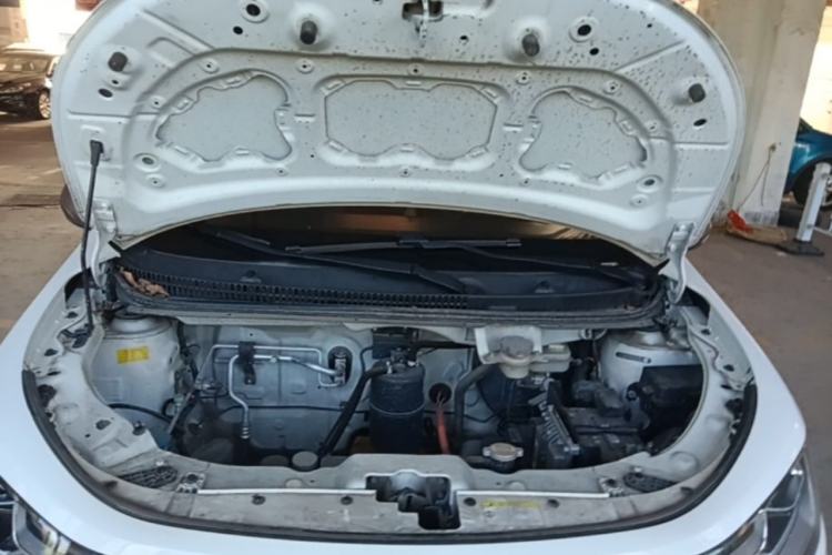 Used SOL E10X 2022 Flower Fairy Design Four-Leaf Clover Engine Bay
