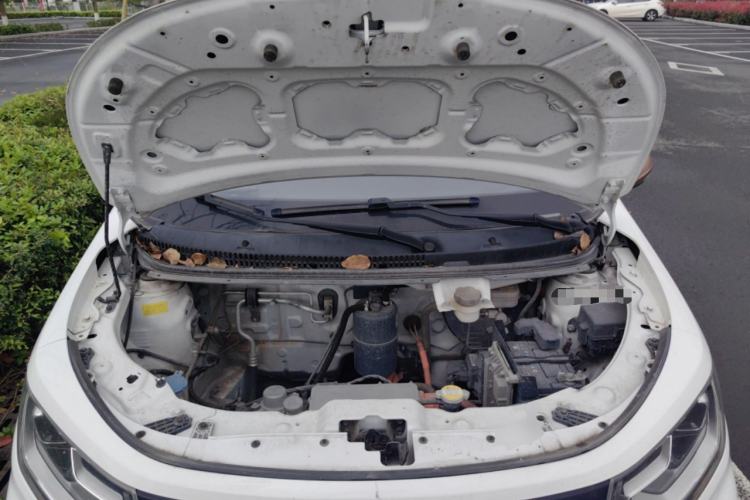 Used SOL E10X 2022 Flower Fairy Style Baby's Breath Engine Bay
