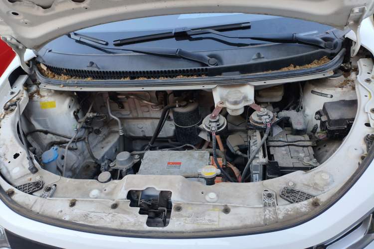 Used SOL E10X 2022 Flower Fairy Design Four-Leaf Clover Engine Bay