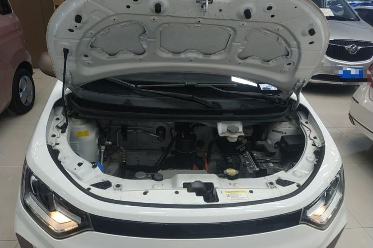 Used SOL E10X 2022 Flower Fairy Design Four-Leaf Clover Engine Bay