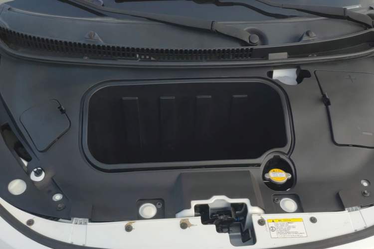 Used SOL E10X 2022 Flower Fairy Style Baby's Breath Engine Bay