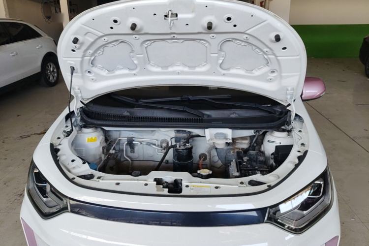 Used SOL E10X 2022 Flower Fairy Style Baby's Breath Engine Bay