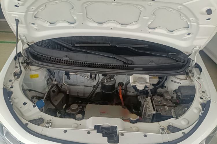 Used SOL E10X 2022 Flower Fairy Style Baby's Breath Engine Bay