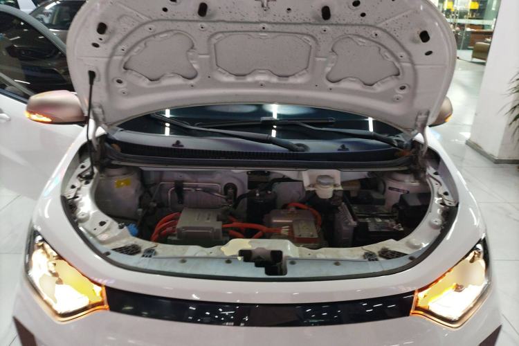 Used SOL E10X 2022 Flower Fairy Design Dandelion Engine Bay