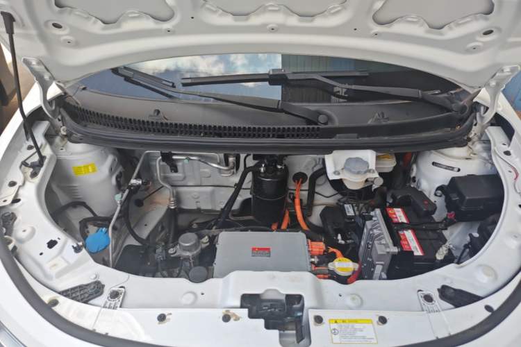 Used SOL E10X 2022 Flower Fairy Style Baby's Breath Engine Bay