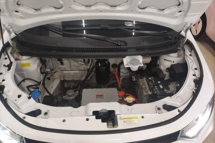 Used SOL E10X 2022 Flower Fairy Style Baby's Breath Engine Bay