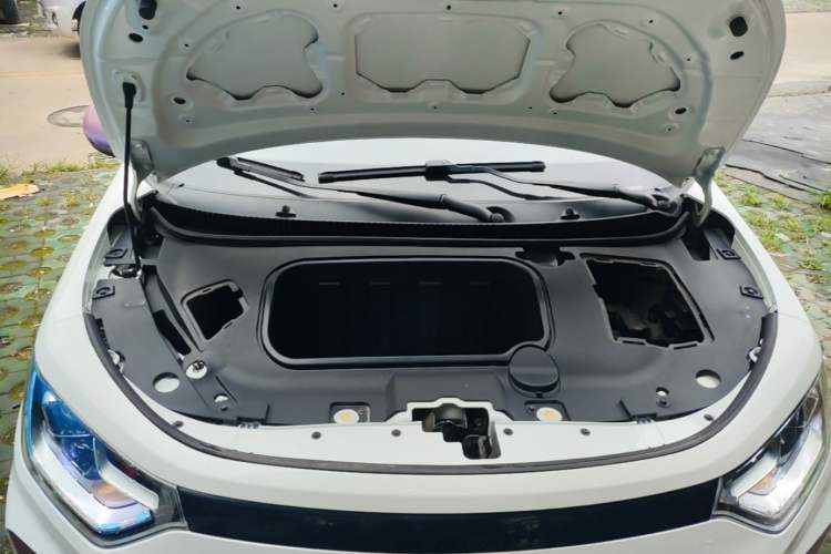 Used SOL E10X 2022 Flower Fairy Design Four-Leaf Clover Engine Bay