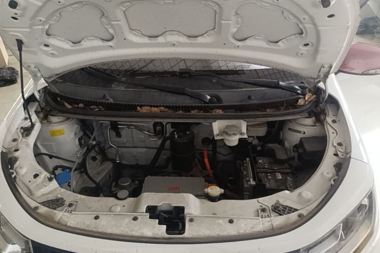 Used SOL E10X 2022 Flower Fairy Style Baby's Breath Engine Bay