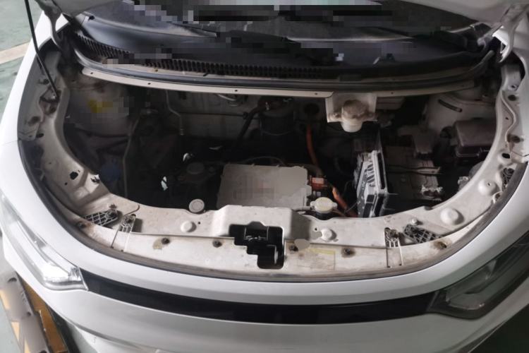 Used SOL E10X 2022 Flower Fairy Design Dandelion Engine Bay