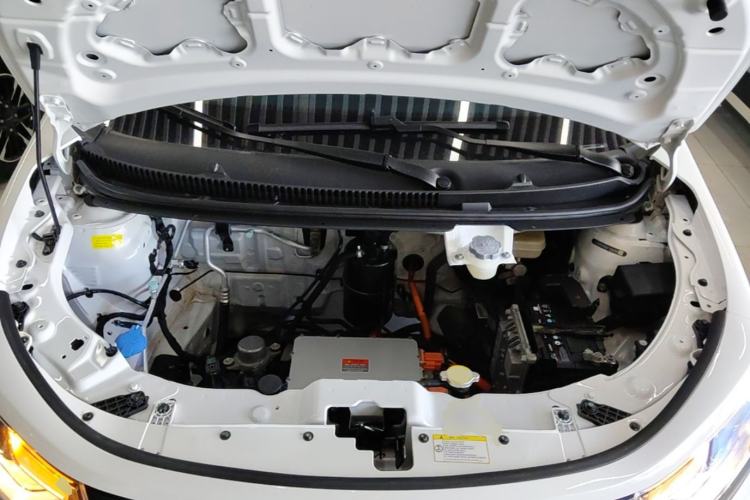 Used SOL E10X 2022 Flower Fairy Style Baby's Breath Engine Bay
