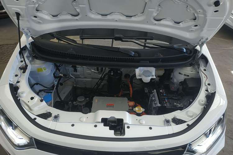 Used SOL E10X 2022 Flower Fairy Design Four-Leaf Clover Engine Bay