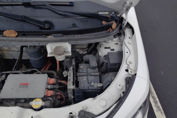 Used SOL E10X 2022 Flower Fairy Style Baby's Breath Engine Bay Left