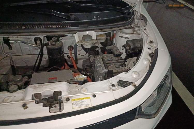 Used SOL E10X 2022 Flower Fairy Style Baby's Breath Engine Bay Left