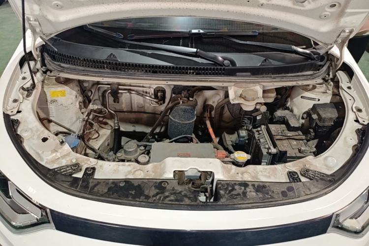 Used SOL E10X 2022 Flower Fairy Style Baby's Breath Engine Bay