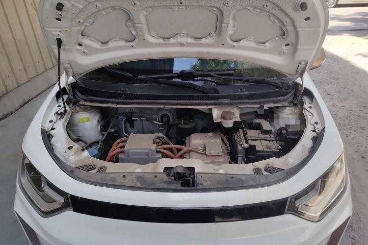 Used SOL E10X 2022 Flower Fairy Design Dandelion Engine Bay