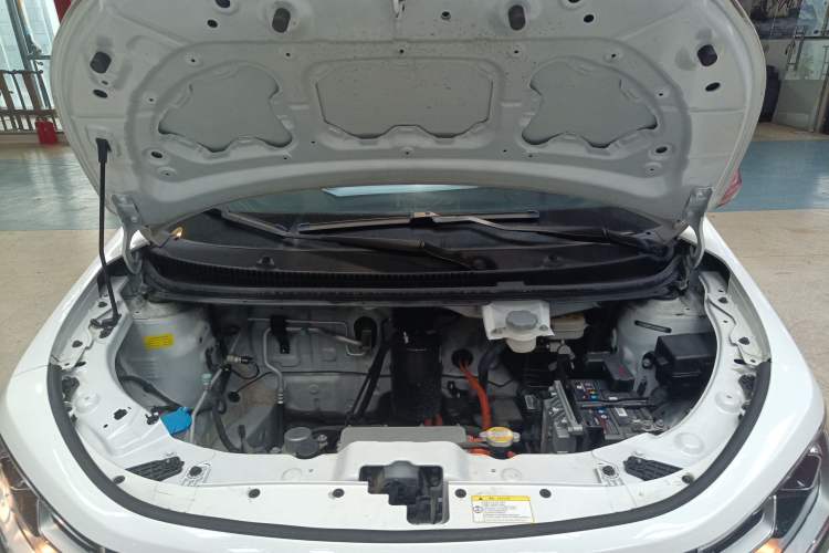 Used SOL E10X 2022 Flower Fairy Style Baby's Breath Engine Bay