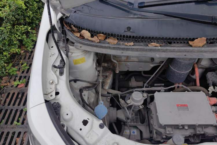 Used SOL E10X 2022 Flower Fairy Style Baby's Breath Engine Bay Right