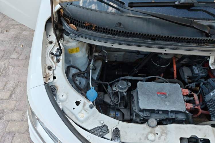 Used SOL E10X 2022 Flower Fairy Style Baby's Breath Engine Bay Right