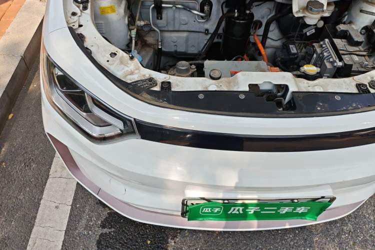 Used SOL E10X 2022 Flower Fairy Design Four-Leaf Clover Engine Bay Right
