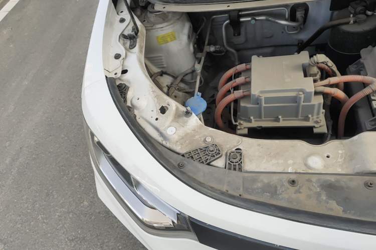 Used SOL E10X 2022 Flower Fairy Design Dandelion Engine Bay Right