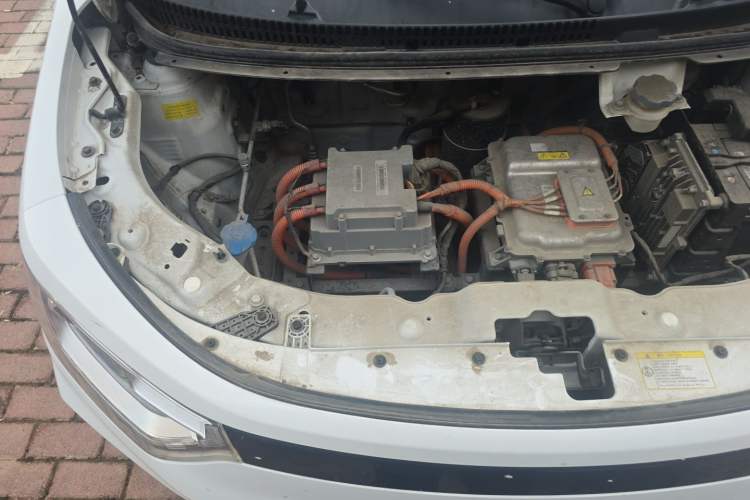 Used SOL E10X 2022 Flower Fairy Design Dandelion Engine Bay Right