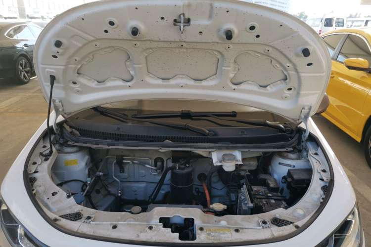 Used SOL E10X 2022 Flower Fairy Style Baby's Breath Engine Bay