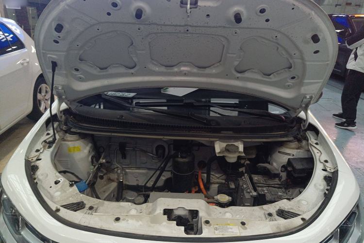 Used SOL E10X 2022 Flower Fairy Style Baby's Breath Engine Bay
