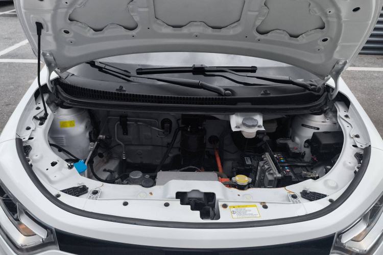 Used SOL E10X 2022 Flower Fairy Style Baby's Breath Engine Bay