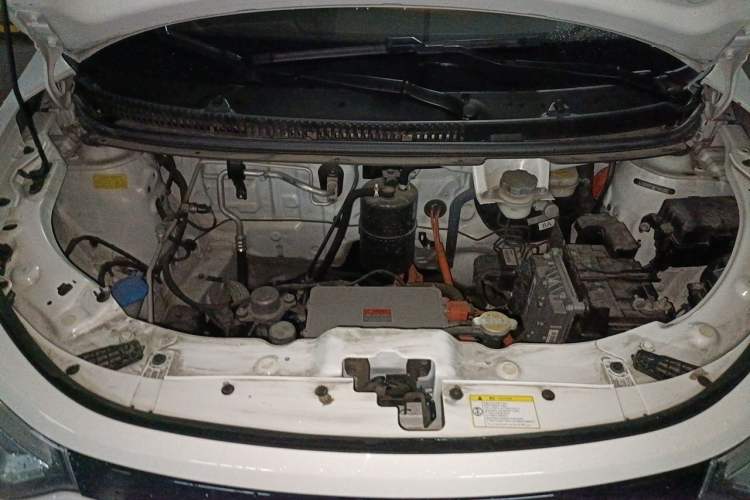 Used SOL E10X 2022 Flower Fairy Style Baby's Breath Engine Bay