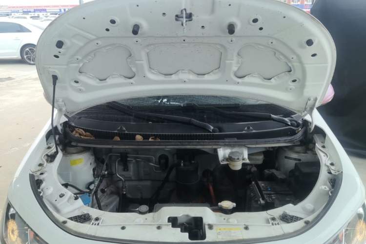 Used SOL E10X 2022 Flower Fairy Style Baby's Breath Engine Bay