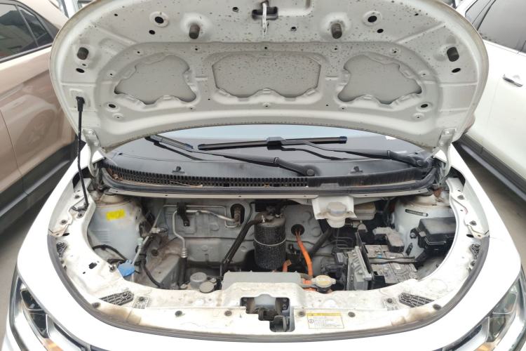 Used SOL E10X 2022 Flower Fairy Style Baby's Breath Engine Bay