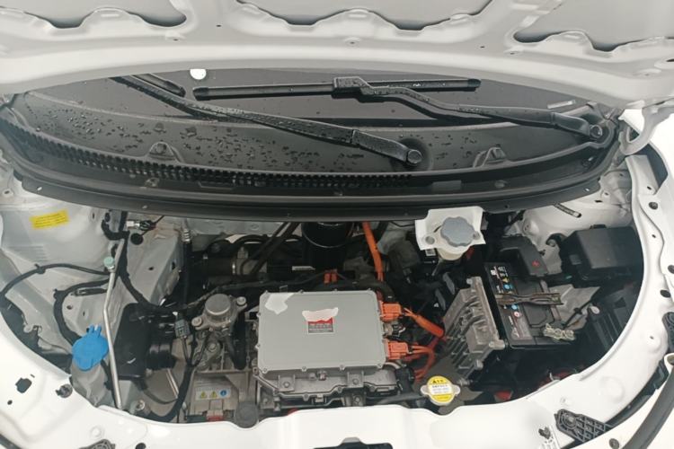 Used SOL E10X 2022 Flower Fairy Style Baby's Breath Engine Bay