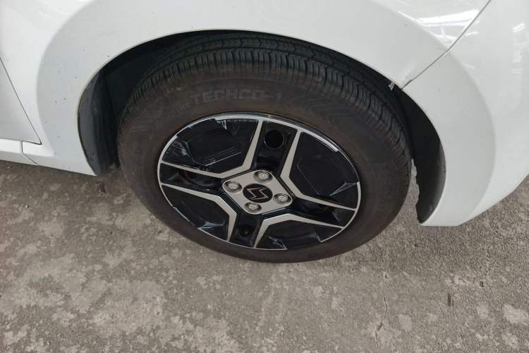 Used SOL E10X 2022 Flower Fairy Design Four-Leaf Clover Exterior 1