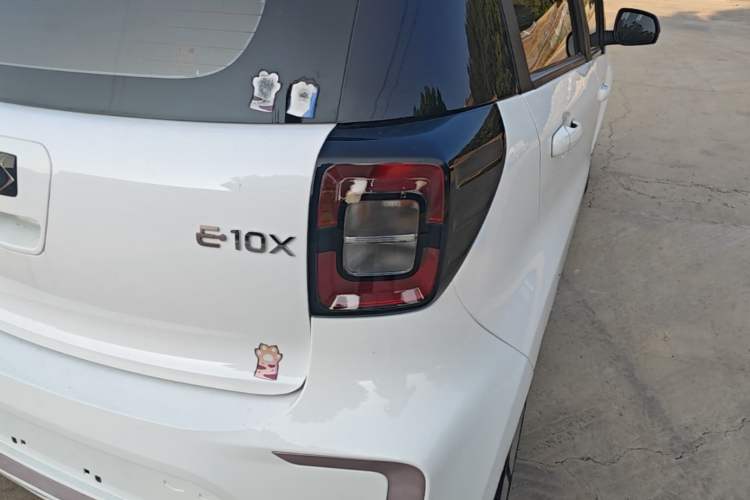 Used SOL E10X 2022 Flower Fairy Style Baby's Breath Exterior 3
