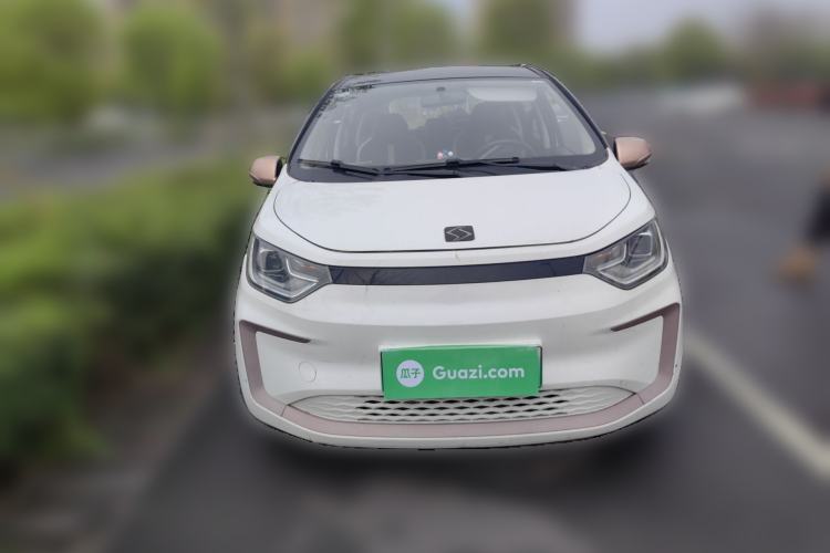 Used SOL E10X 2022 Flower Fairy Style Baby's Breath Front