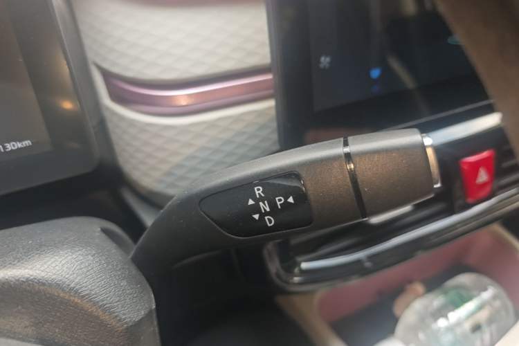 Used SOL E10X 2022 Flower Fairy Design Four-Leaf Clover Gear Lever