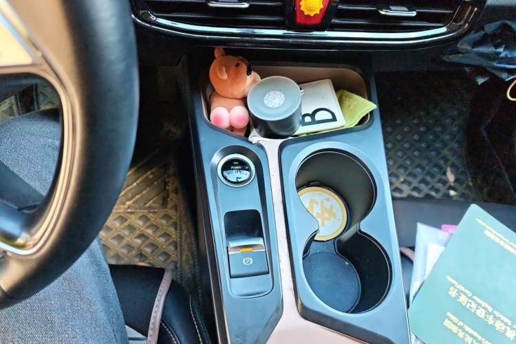 Used SOL E10X 2022 Flower Fairy Style Baby's Breath Gear Lever