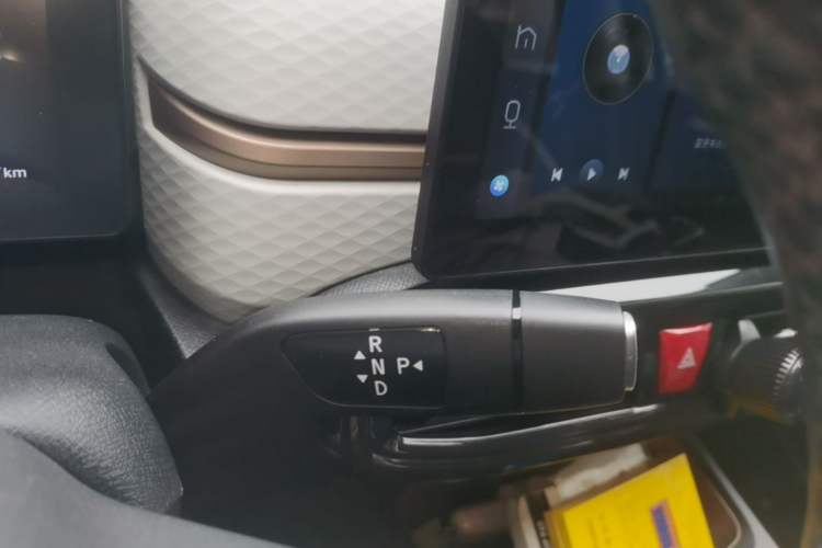Used SOL E10X 2022 Flower Fairy Style Baby's Breath Gear Lever